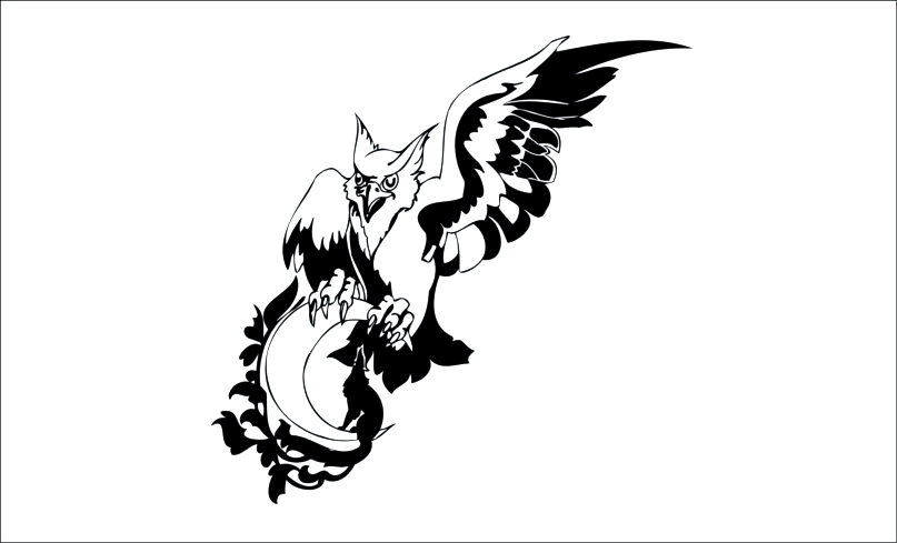 Aguila-12 Aguila-arranoa - Imagen 1