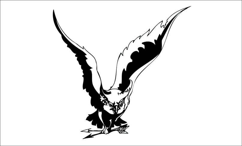 Aguila-27 Aguila-ekara - Imagen 1