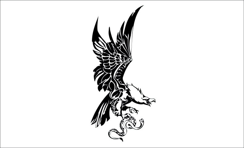 Aguila-33 Aguila-vultur - Imagen 1