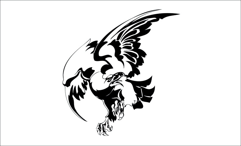 Aguila-35 Aguila-орао - Imagen 1