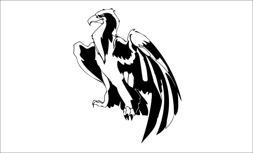 Aguila-9 Aguila-malfini - Imagen 1